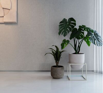 Earthic-wall-ffrom-01